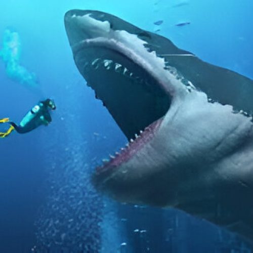 Megalodon: o maior tubarão que já existiu!